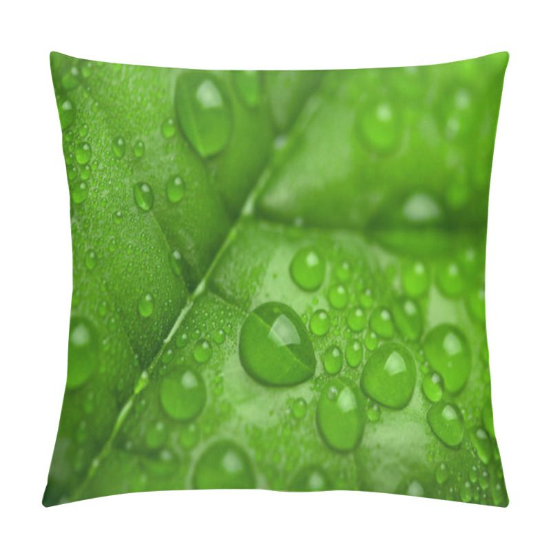 Personality  Fresh Green Leaf With Water Droplets Pillow Covers