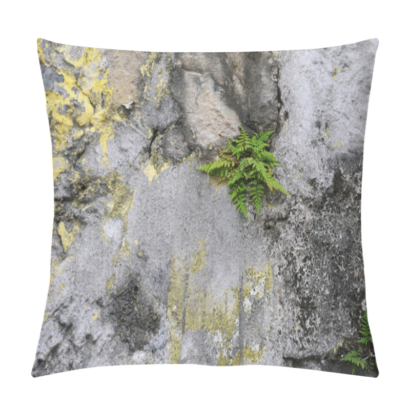 Personality  Grunge Background With Fern Pillow Covers