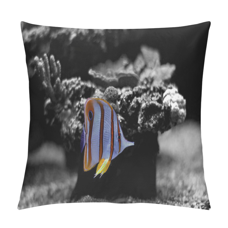 Personality  Coral Reef Aquarium Fish  Pillow Covers