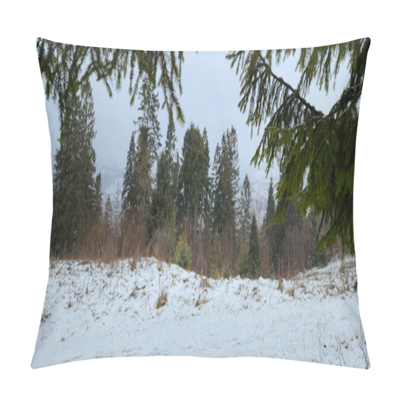 Personality  Beautiful Winter Landscape With Snow Covered Trees Pillow Covers