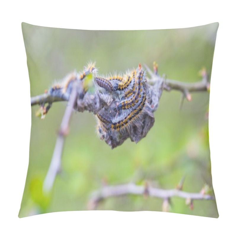 Personality  Tree Attacked By Caterpillars Pillow Covers