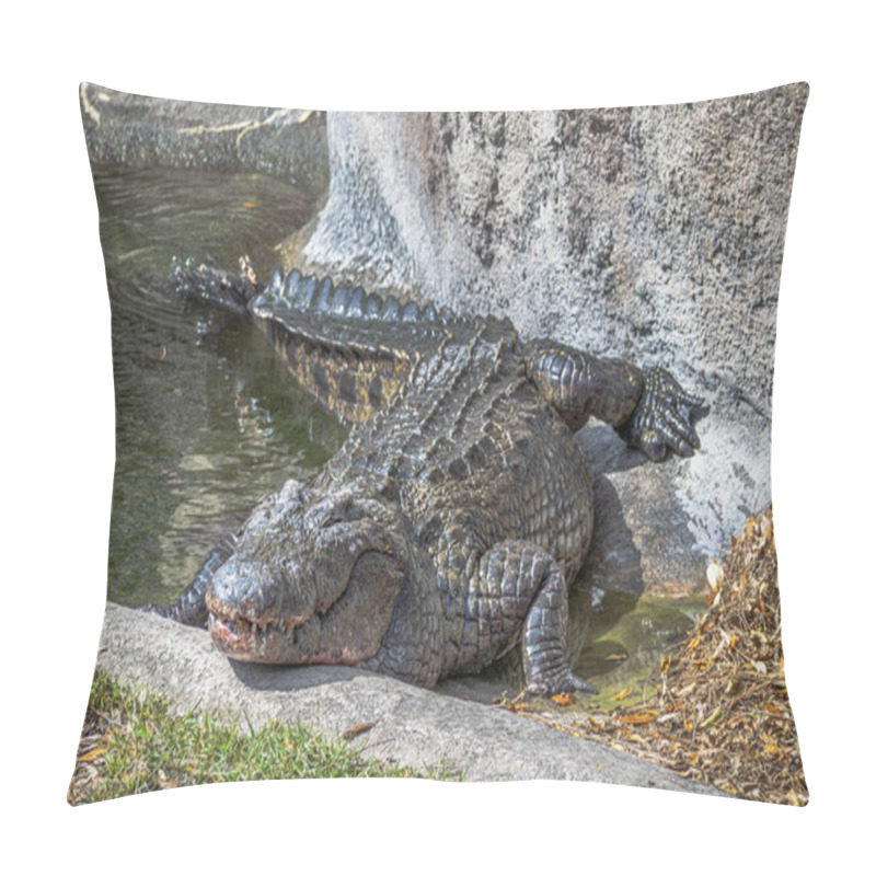 Personality  Closeup View Of A Nile Crocodile In Captivity. Taking A Sunbath. Pillow Covers