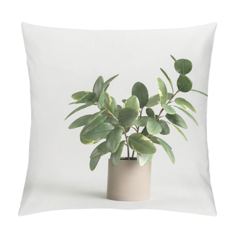 Personality  3d Illustration Of Houseplant Potted Isolated On White Background Pillow Covers