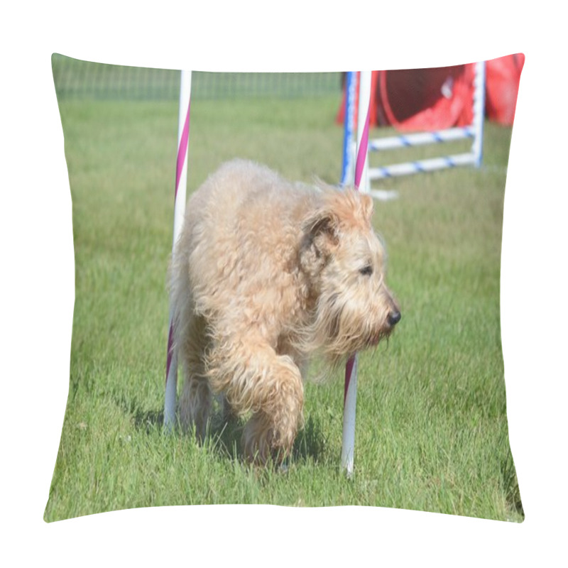 Personality  Soft-Coated Wheaten Terrier At A Dog Agility Trial Pillow Covers