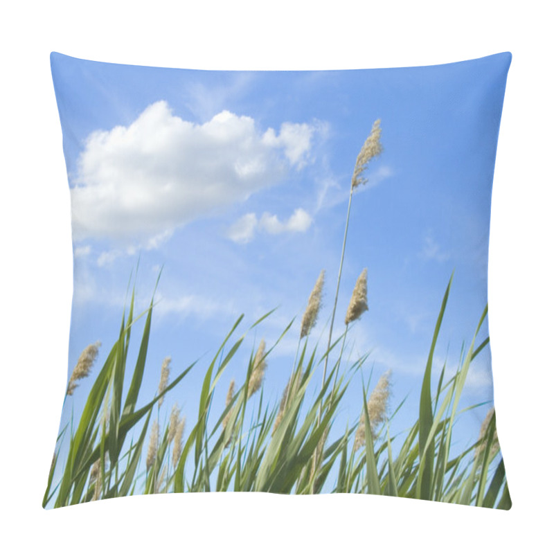 Personality  High Reed Against Cloudy Sky In Wind Day Pillow Covers