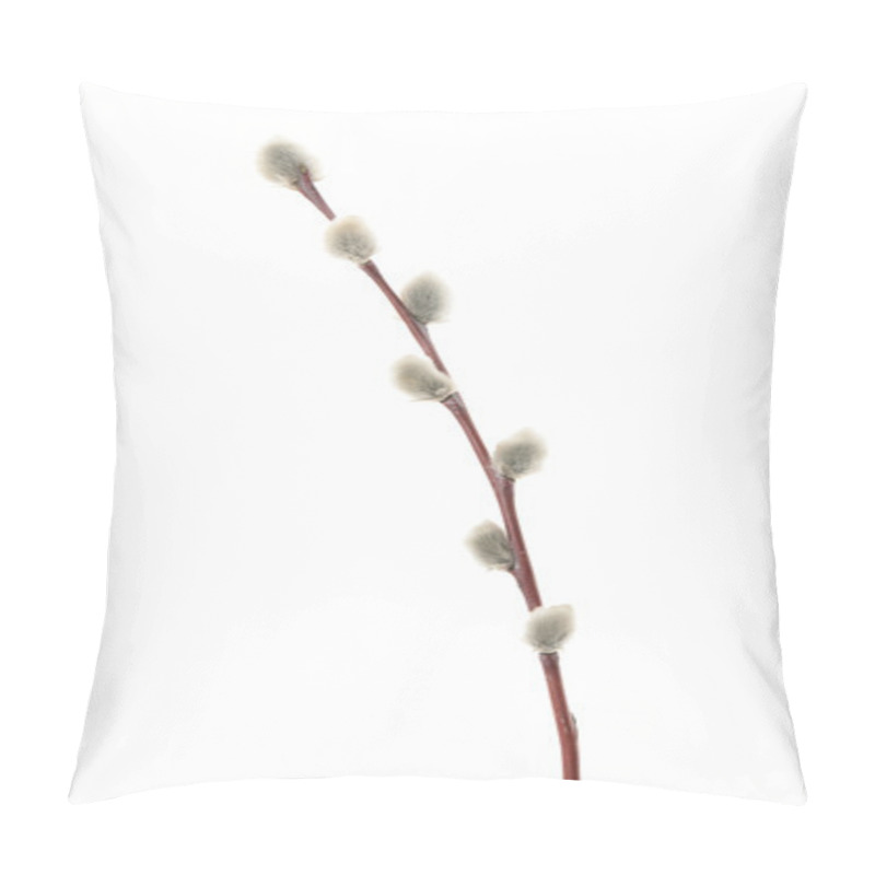 Personality  Willow Twigs Isolated On White. Without Shadow Pillow Covers