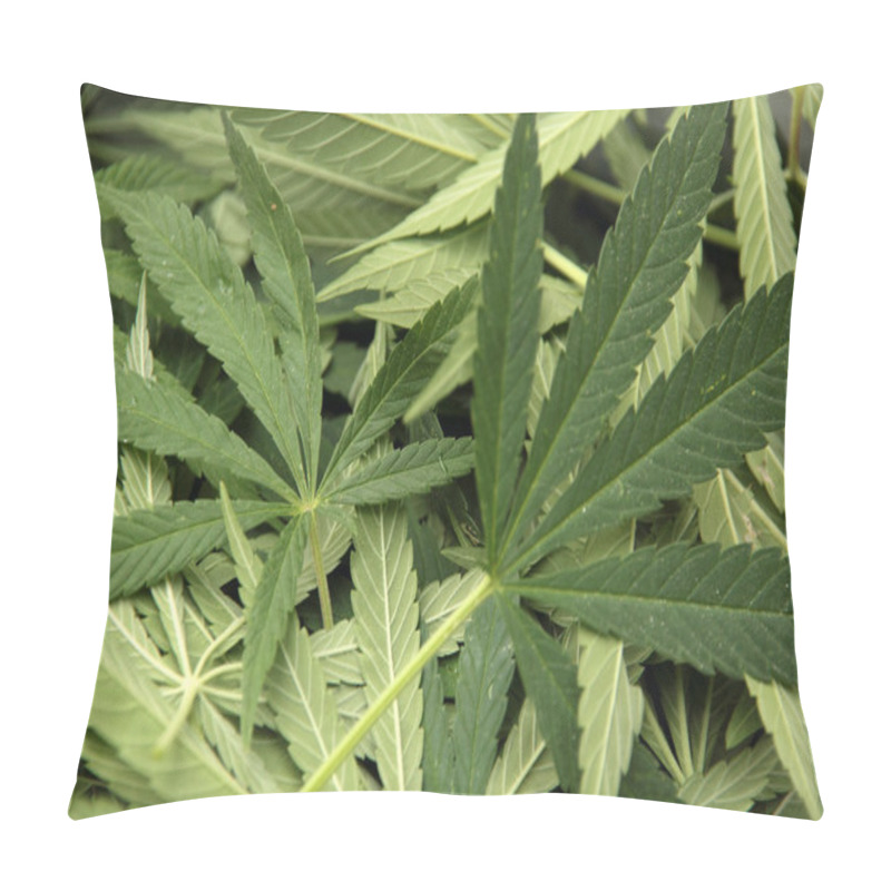 Personality  Cannabis Background Pillow Covers