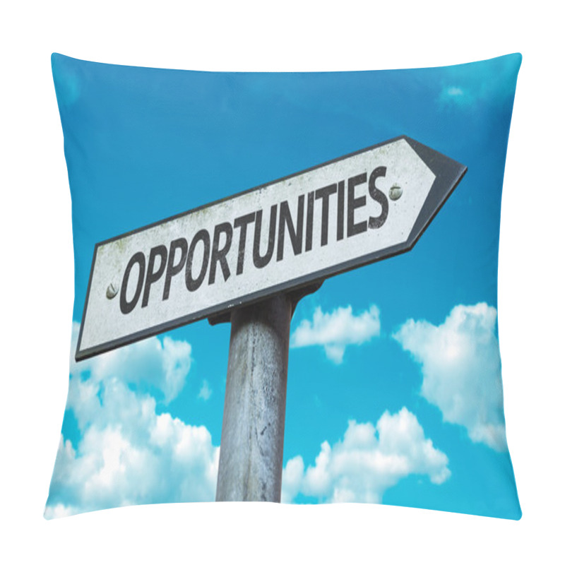 Personality  Text Opportunities Sign Pillow Covers