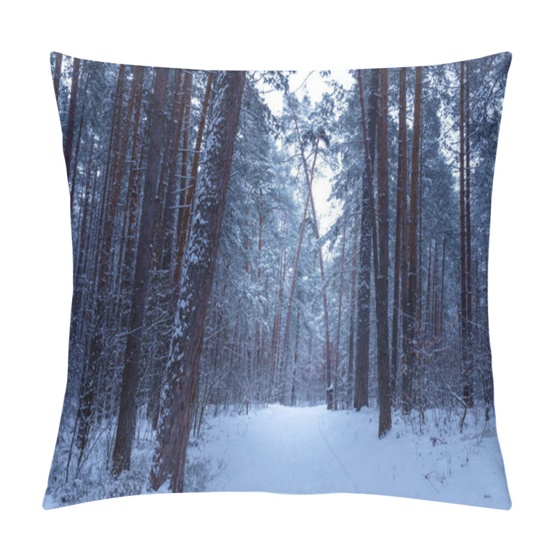 Personality  Winter Forest With Snow On Pine Trees And Floor. Pillow Covers