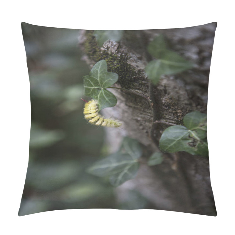 Personality  Yellow Catterpillar On A Trunk Pillow Covers