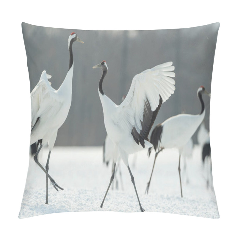 Personality  The Ritual Marriage Dance Of Cranes. The Red-crowned Cranes. Scientific Name: Grus Japonensis, Also Called The Japanese Crane Or Manchurian Crane, Is A Large East Asian Crane. Pillow Covers