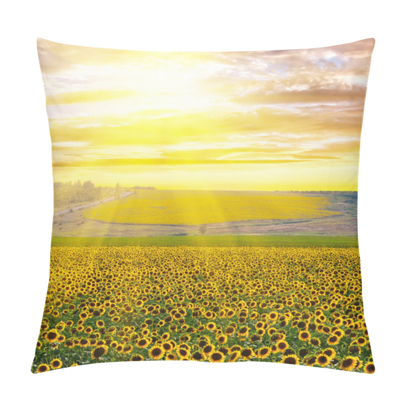 Personality  Sunflower Field At Sunset Pillow Covers