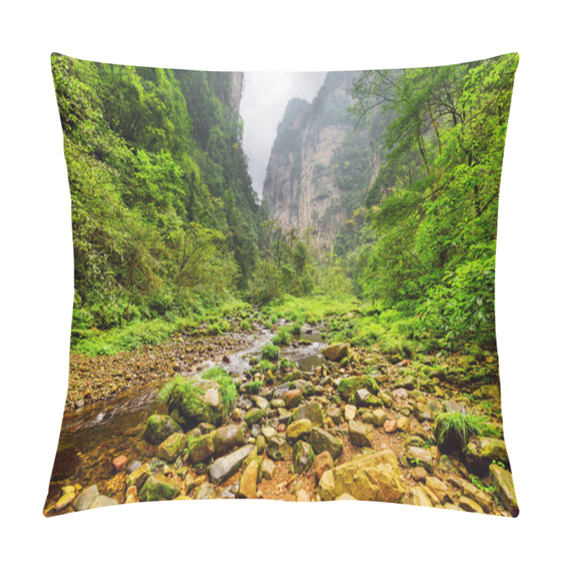 Personality  Amazing View Of Mountain River Among Woods And Steep Cliffs Pillow Covers