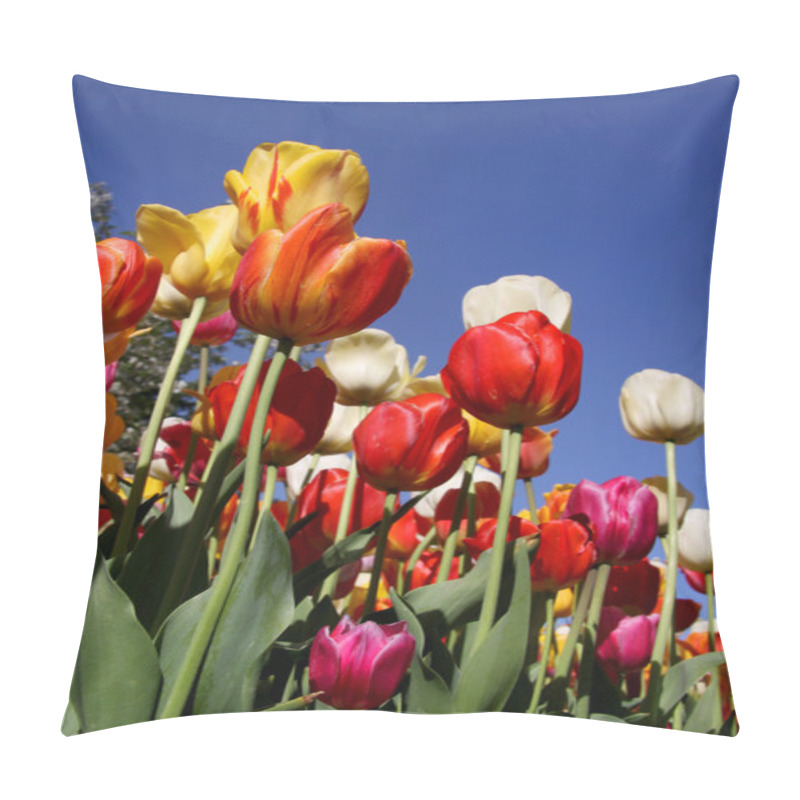 Personality  Tulip Flower Background Pillow Covers