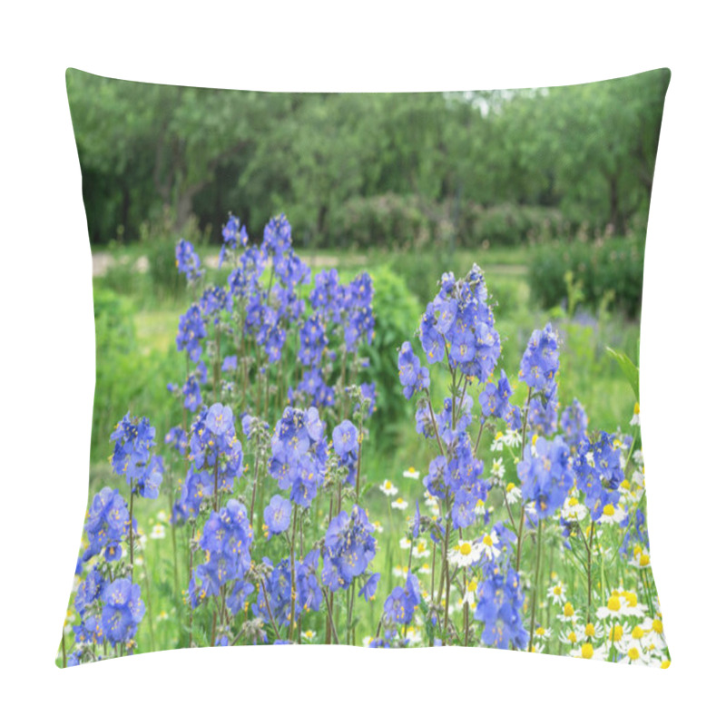 Personality  Purple Polymonium Flowers Known As Jacob's-ladder Or Greek Valerian. Pillow Covers