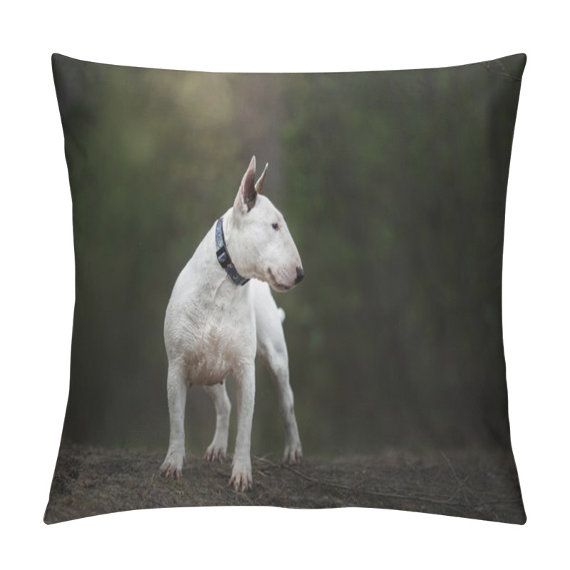 Personality  Dog Bull Terrier Walking In The Park Pillow Covers