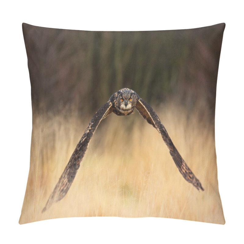 Personality  Eurasian Eagle Owl Pillow Covers