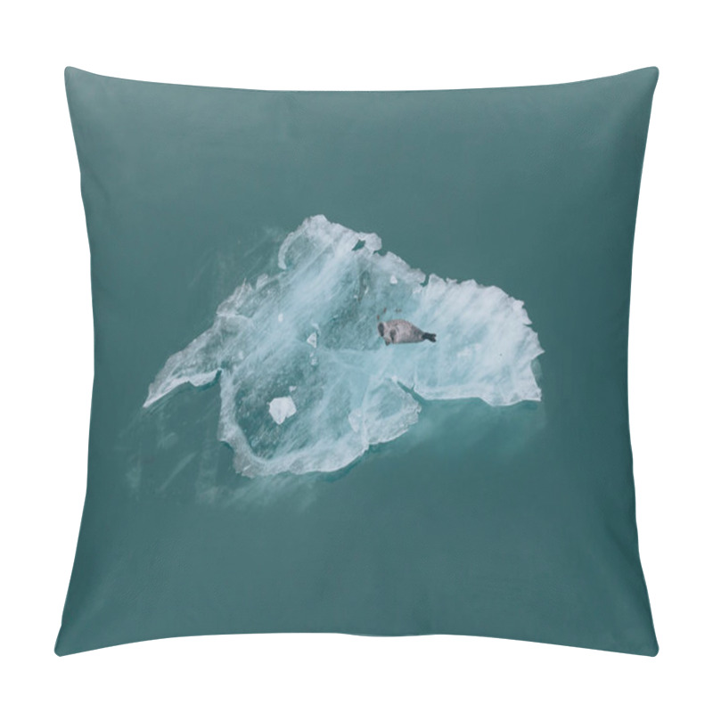 Personality  A Seal Resting On A Floating Iceberg In The Tranquil Waters Of Jokulsarlon, Iceland. Pillow Covers