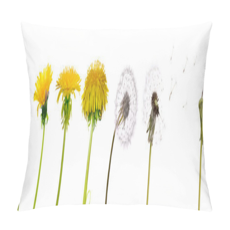 Personality  Dandelions From The Begining To Senility Pillow Covers