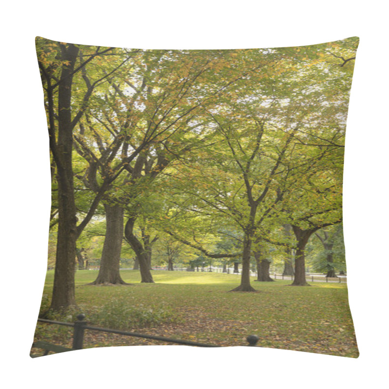 Personality  Park With Picturesque Green Trees In New York City Pillow Covers