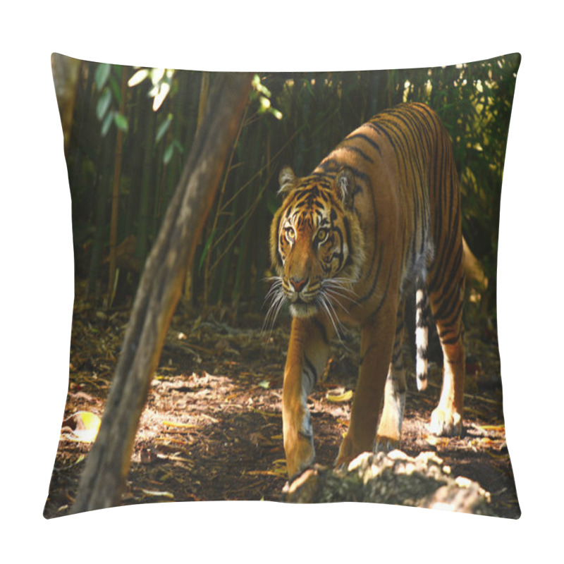 Personality  Sumatran Tiger Pillow Covers