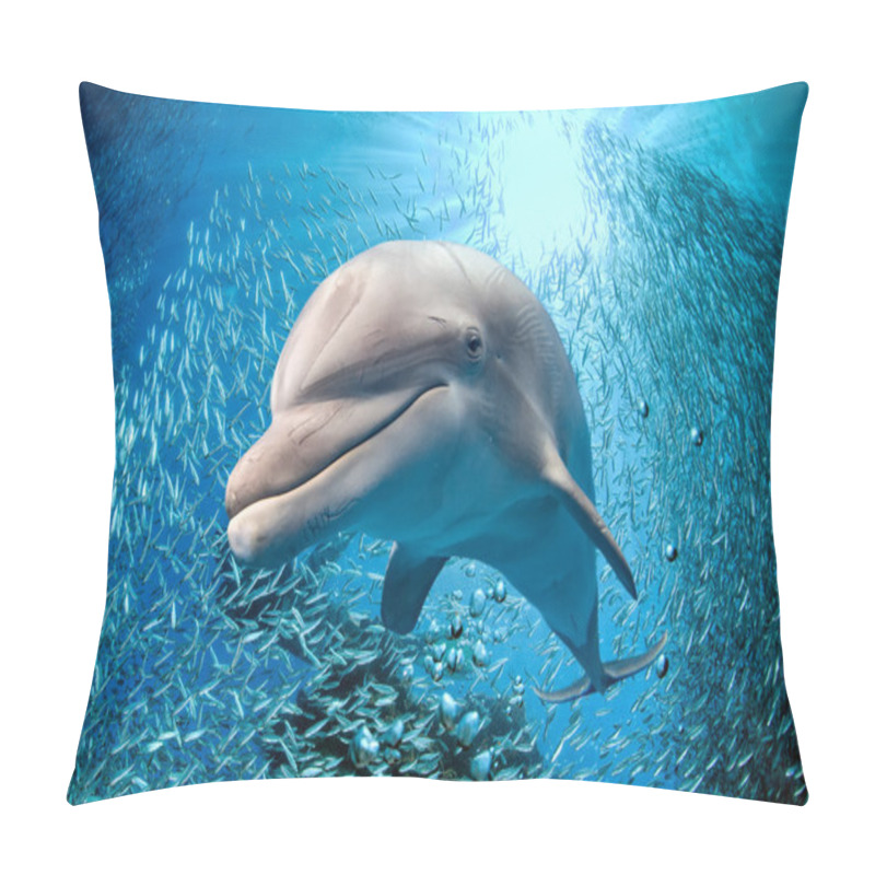 Personality  Dolphin Underwater On Blue Ocean Background Pillow Covers