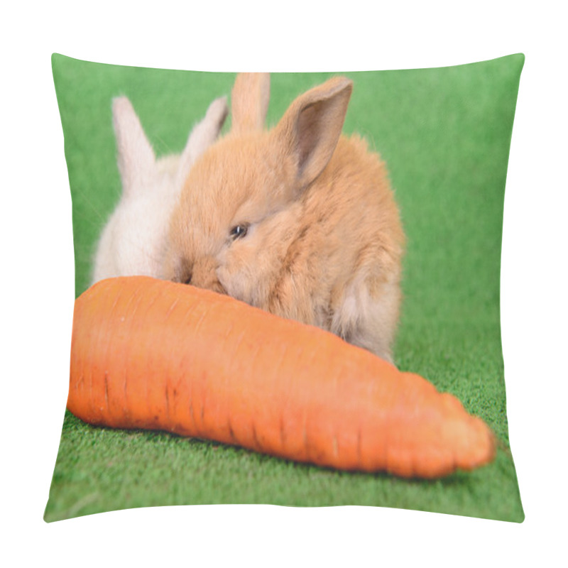 Personality  Rabbit With Carrot Pillow Covers