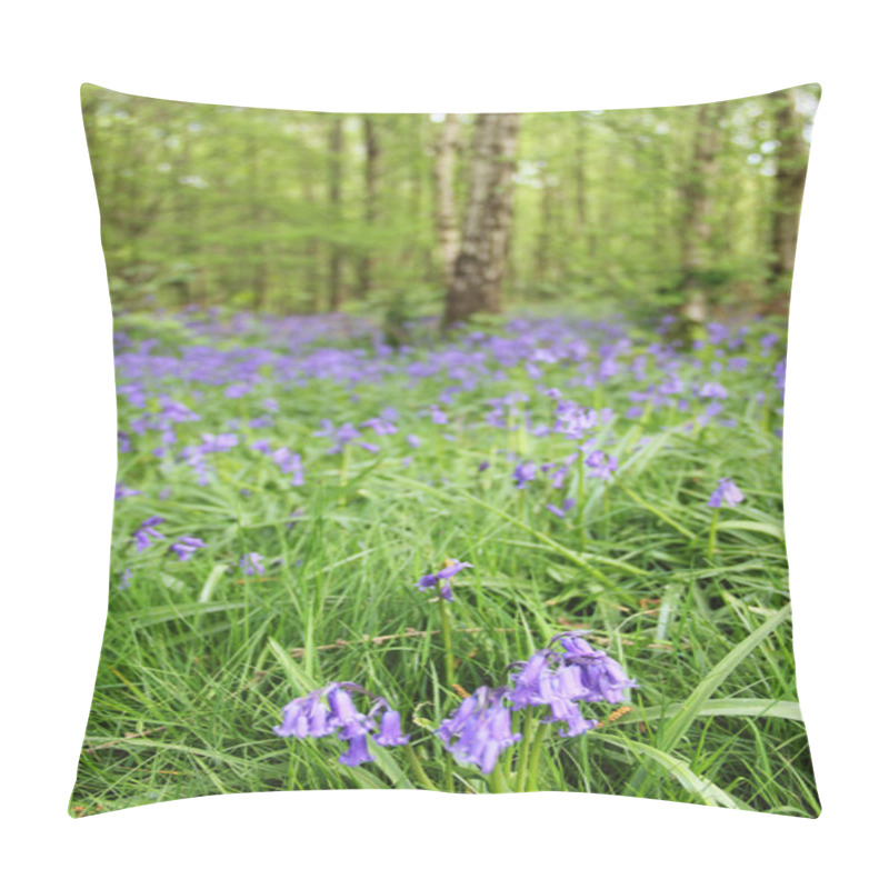 Personality  Bluebell Flowers In Spring Forest Pillow Covers