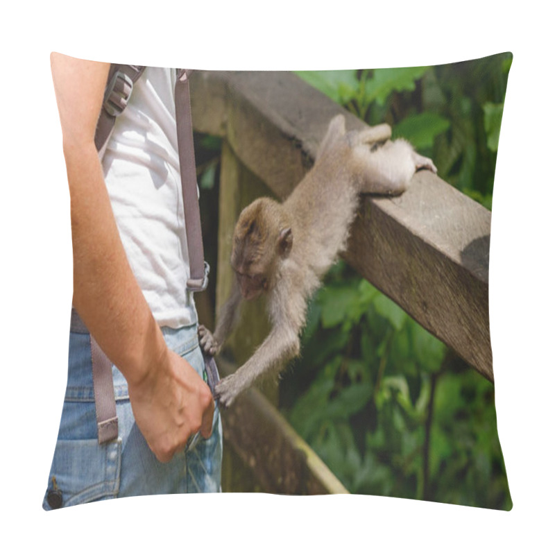 Personality  Small Curious Monkey Looking What Woman Has In Pocket Pillow Covers