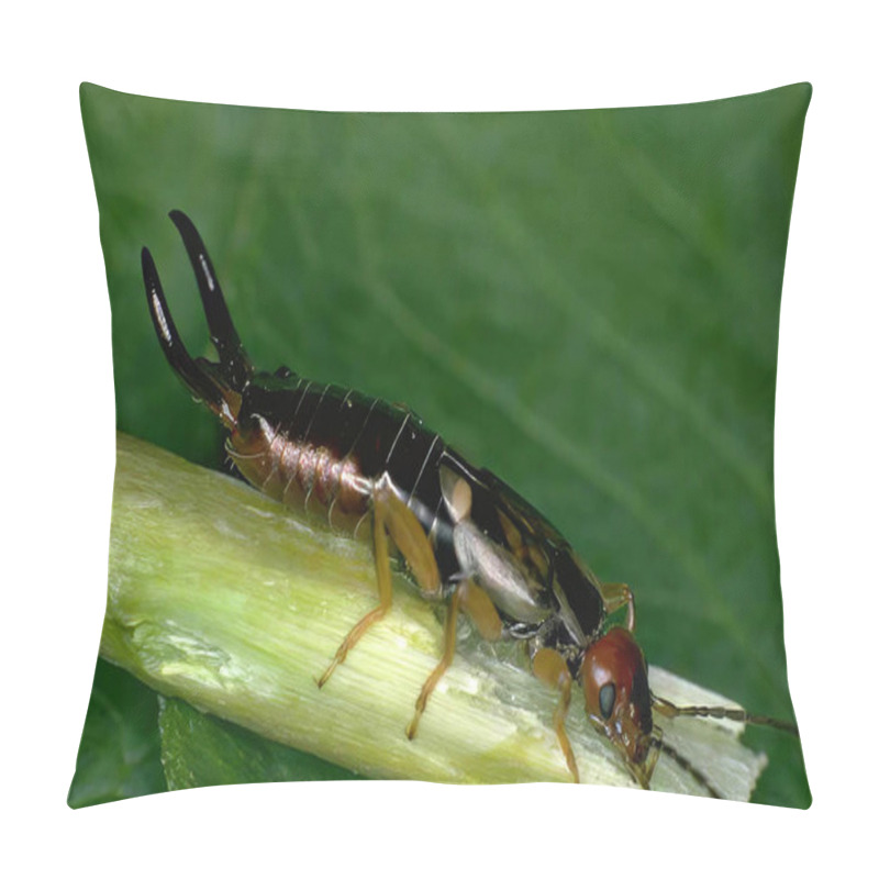 Personality  Insect On A Leaf: A Close-Up Of A Garden Pest Pillow Covers