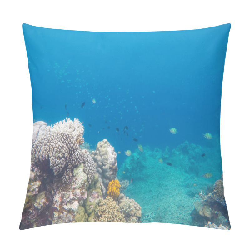 Personality  White Coral On Tropical Sea Bottom. Blue Sea Water And Coral Reef. Coral Reef Animals. Exotic Island Lagoon Snorkeling And Diving. Tropical Seashore Underwater Photo. Coral Reef Undersea Landscape Pillow Covers