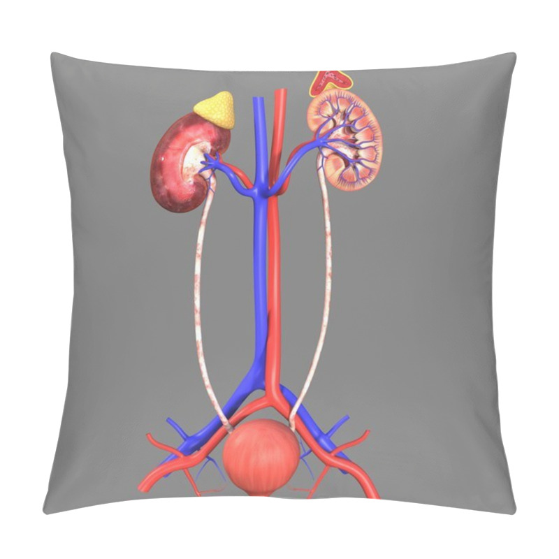 Personality  Kidneys Pillow Covers