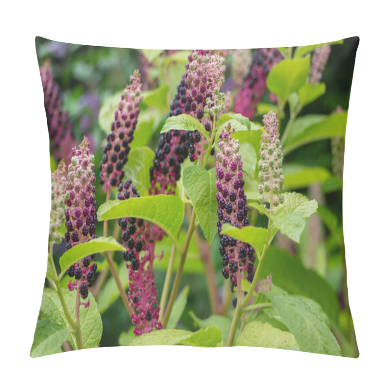 Personality  Phytolacca Acinosa Indian Pokeweed Ripening Black Fruits On Branches, Small Shrub With Green Leaves On Branches Pillow Covers