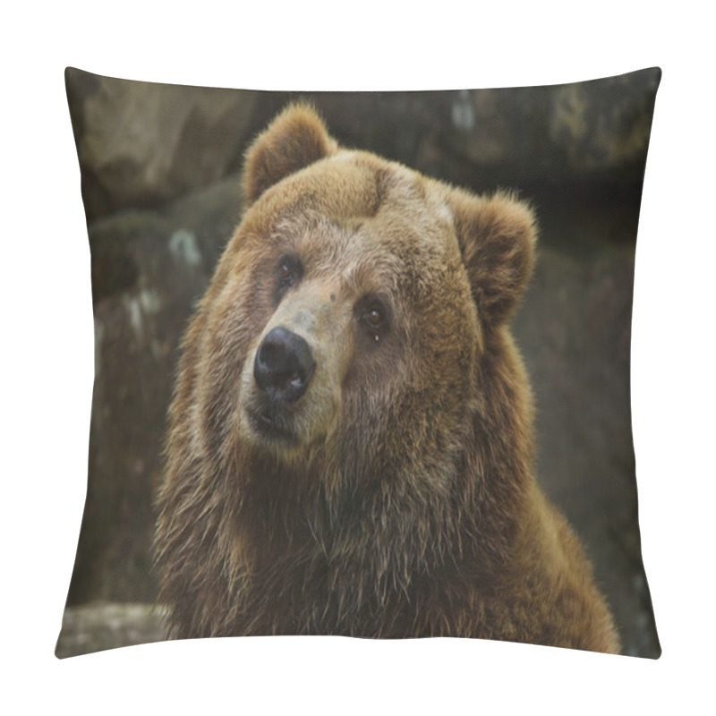 Personality  Mainland Grizzly (Ursus Arctos Horribilis). Wildlife Animal. Pillow Covers