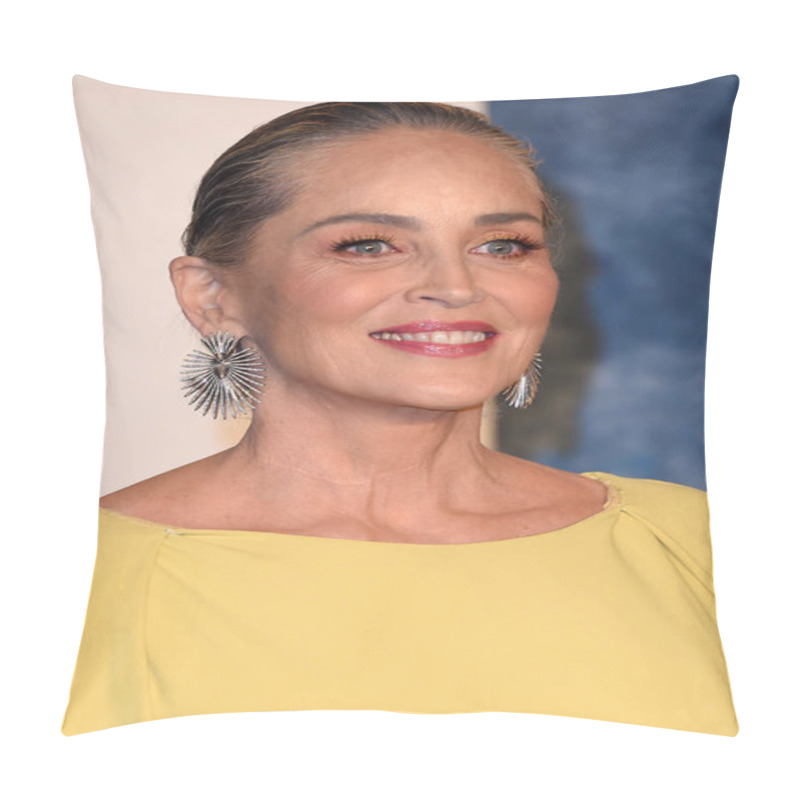 Personality  LOS ANGELES - MAR 12:  Sharon Stone At The 2023 Vanity Fair Oscar Party At The Wallis Annenberg Center For The Performing Arts On March 12, 2023 In Beverly Hills, CA Pillow Covers