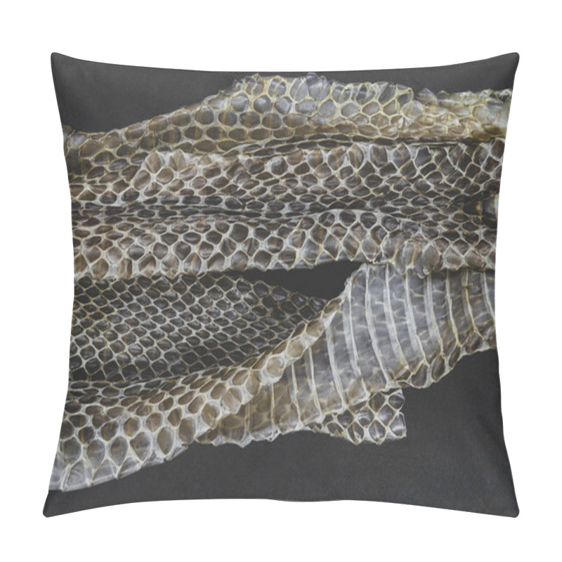 Personality  Old Dropped Snake Skin Pillow Covers