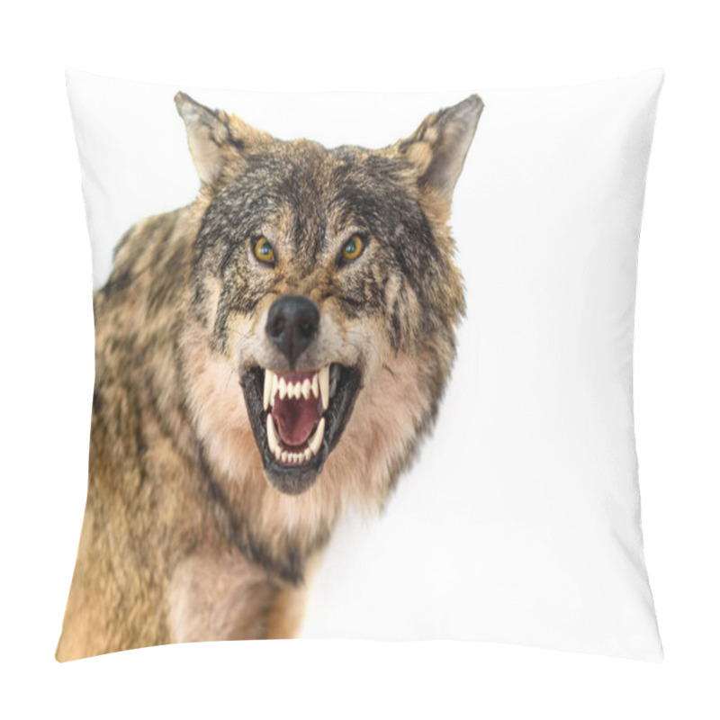 Personality  View On Stuffed Roaring Wolf Pillow Covers