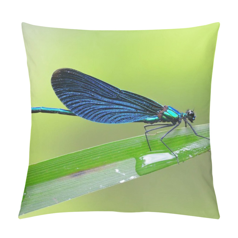 Personality  Banded Demoiselle Dragonfly Macro Close-up Shot Against Green Background Pillow Covers