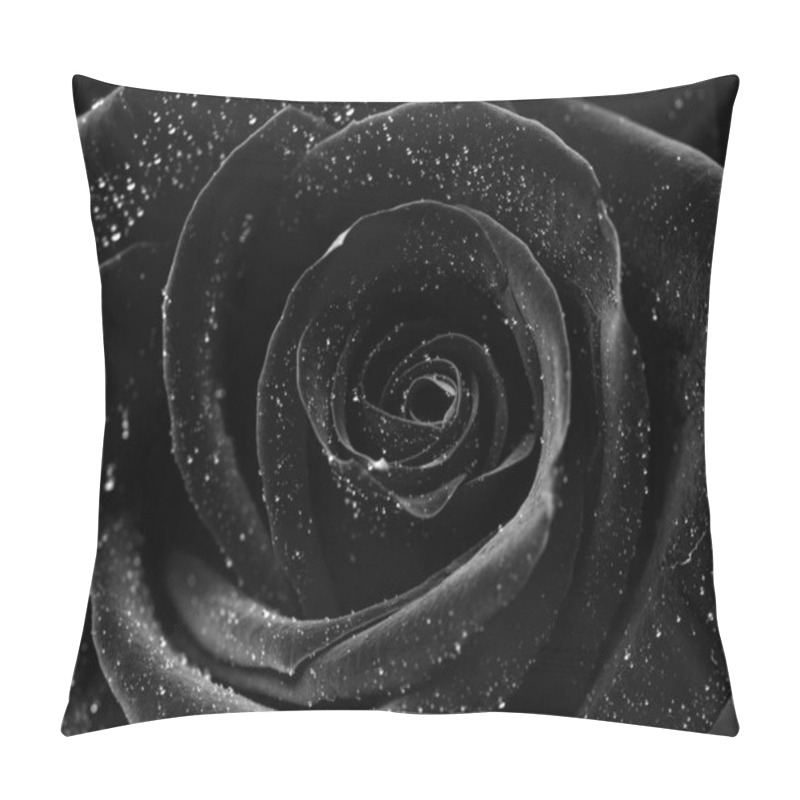 Personality  Drops On Roses. Abstract Flower Black White Rose On Black Background - Valentines, Mothers Day, Anniversary, Condolence Card. Beautiful Rose. Close Up Roses . Monochrome. Panorama Pillow Covers