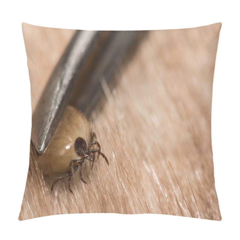 Personality  Engorged Female Deer Tick Removed From An Accidental Host. Pillow Covers