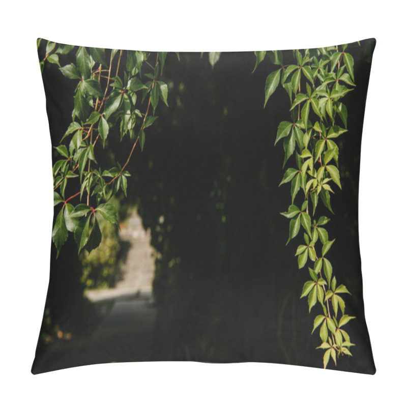 Personality  Close-up Shot Of Hanging Wild Vines On Black Background Pillow Covers