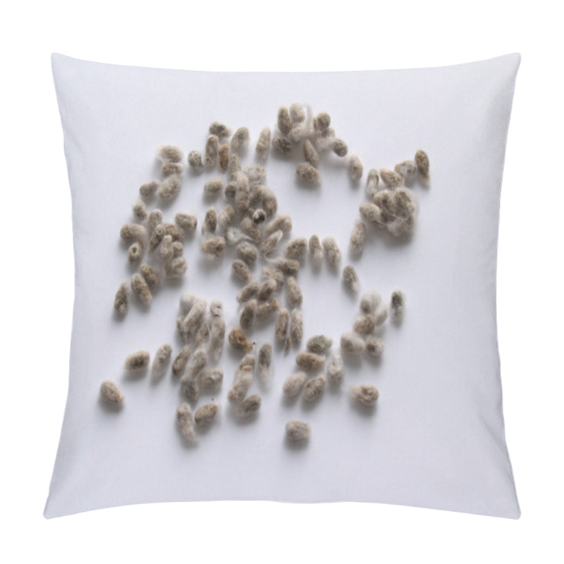 Personality  Cotton Seed That Has Been Removed From Cotton Bolls During The Ginning Process At A Cotton Gin On A White Background. Pillow Covers