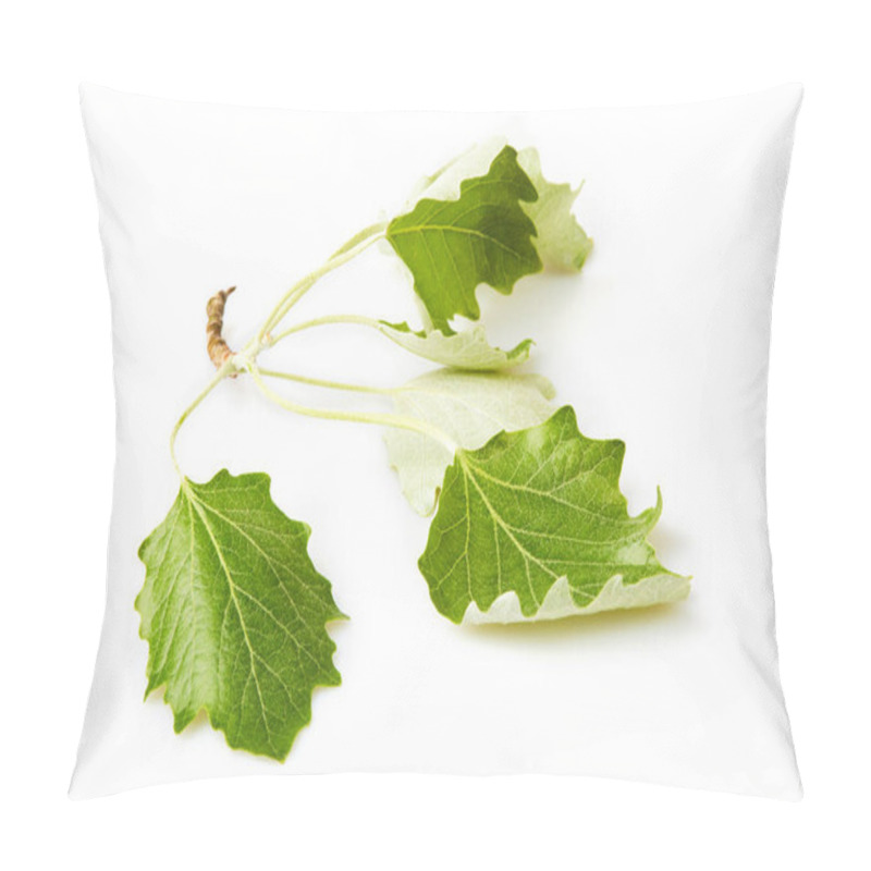 Personality  European Aspen (Populus Tremula) Branch, (European Aspen, Or Quaking Aspen) Isolated On White Backround Pillow Covers