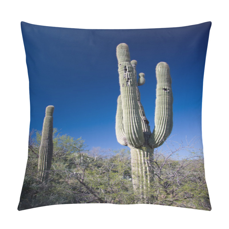 Personality  Cactus In Southern Arizona Pillow Covers