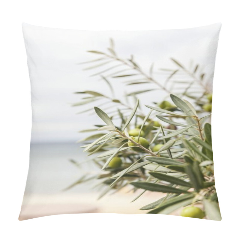 Personality  Olive Trees Grove Pillow Covers