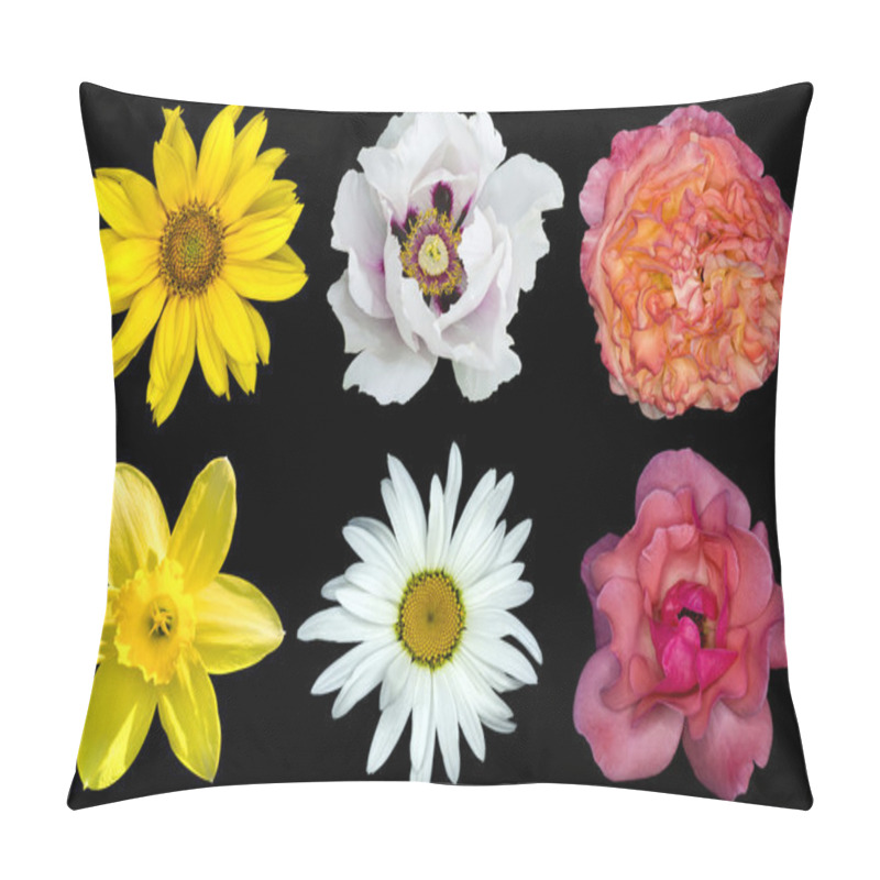 Personality  Mix Collage Of Flowers: White Peony, Red And Rose Roses, Yellow Decorative Sunflower, White Daisy Flower, Day Lilies Isolated On Black Pillow Covers