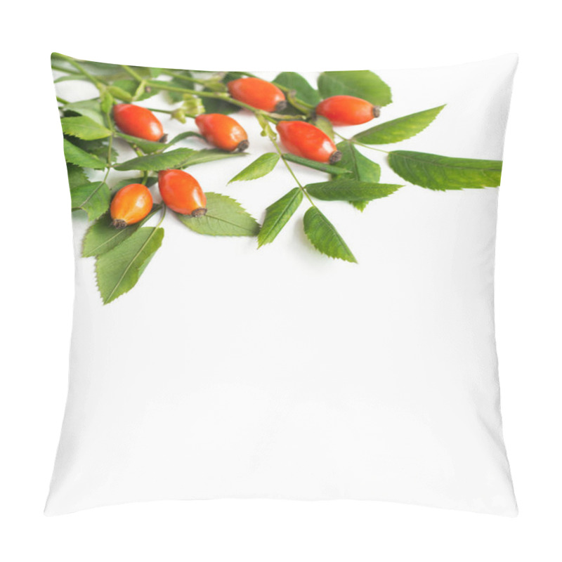 Personality  Rose Hips, Sea Buckthorn And Goji Berries. Viburnum Branch Medicinal Plants And Herbs Composition Pillow Covers