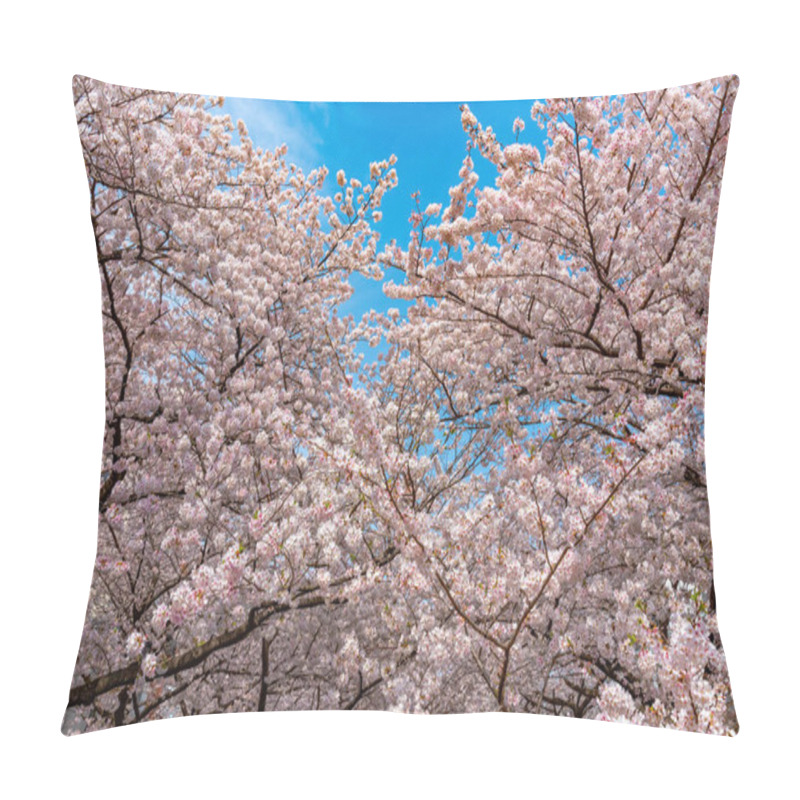 Personality  Cherry Blossom Season In Tokyo At Meguro River, Japan Pillow Covers