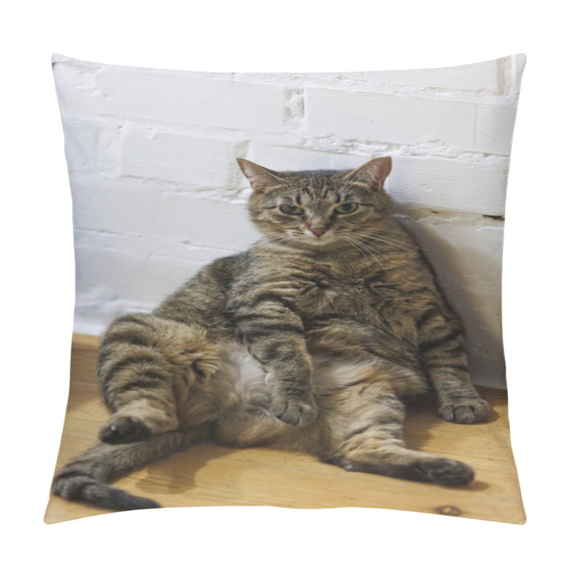 Personality  Cat Sitting Like A Human, Showcasing Its Quirky Personality And Providing A Delightful Glimpse Into Feline Behavior. Ideal For Pet Humor And Animal-themed Content. Pillow Covers