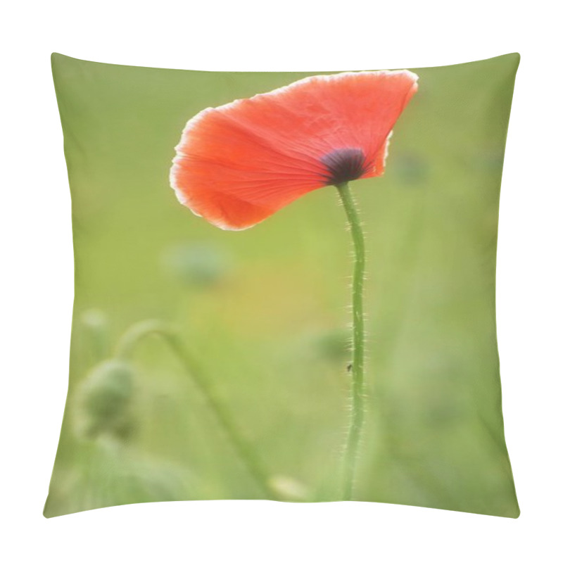 Personality  Corn Poppy Flower Pillow Covers